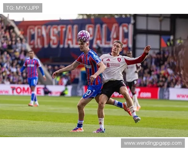 水晶宫俱乐部重建计划启动 力求打造英超竞争新力量